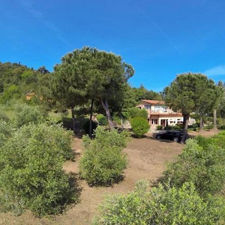 Villa Vanna Trilo -Quadrilocale Capoliveri  Buitenkant foto