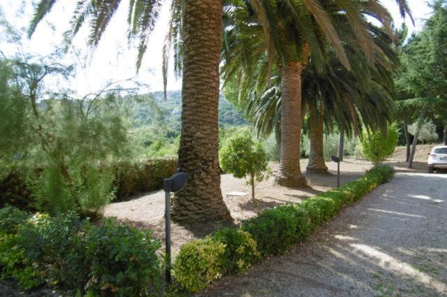Villa Vanna Trilo -Quadrilocale Capoliveri  Buitenkant foto